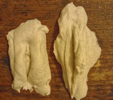 Moulage de vulve
